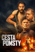 Cesta pomsty.jpg