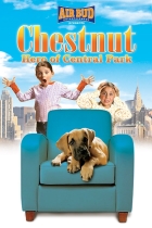 Chestnut Hero of Central Park.jpg